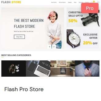 Flash Pro Store Template